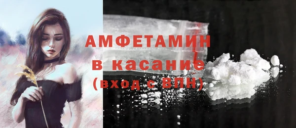 ешки Бородино