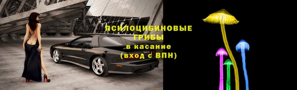 Альфа ПВП Бугульма