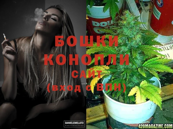 ешки Бородино