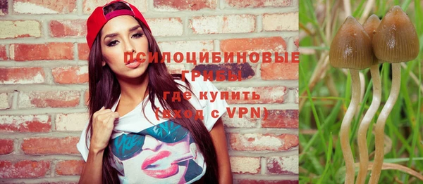 Альфа ПВП Бугульма