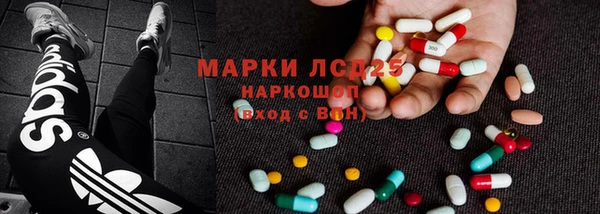 ешки Бородино