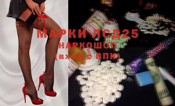 ешки Бородино
