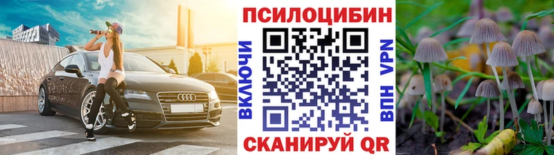 omg вход  Комсомольск-на-Амуре  Псилоцибиновые грибы мухоморы 