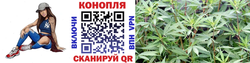 Каннабис ГИДРОПОН  магазин продажи наркотиков  Комсомольск-на-Амуре 